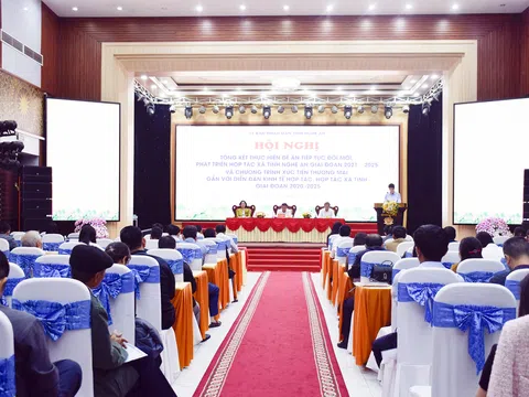 Nghệ An tổng kết 5 năm thực hiện Đề án đổi mới, phát triển Hợp tác xã giai đoạn 2021 - 2025
