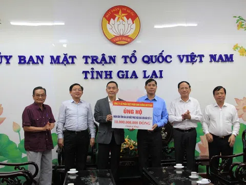 Nutifood hỗ trợ người dân Gia Lai 10 tỷ đồng khắc phục bão Kalmaegi