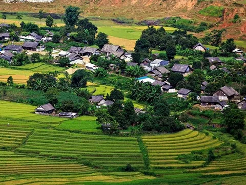 Cặp lồng yêu thương