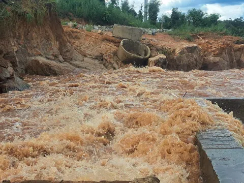 Gia Lai: Vỡ đập tràn Thủy điện, trên 23ha cây trồng bị thiệt hại