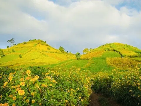 Chư Pãh: “Tuần lễ Hoa Dã quỳ- Núi lửa Chư Đăng Ya” mời gọi