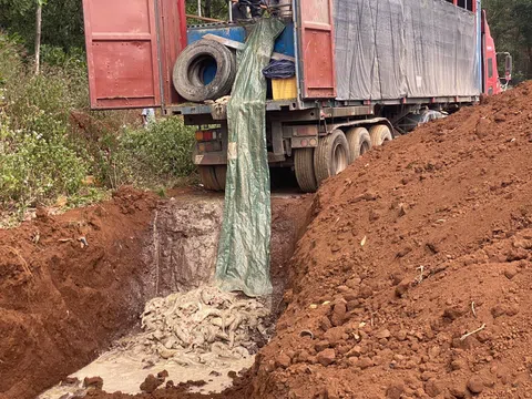 Gia Lai: Tiêu hủy 5,5 tấn cá tầm vận chuyển trái phép qua biên giới