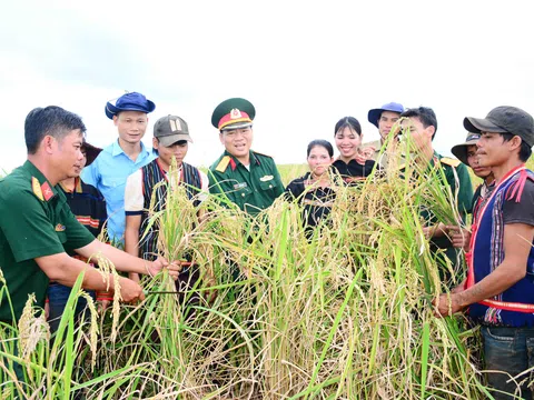 Bài 2:                    Sáu Tâm là bộ đội của dân làng