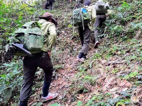 Đắk Lắk: Phát hiện, lập hồ sơ xử lý trên 1.000 vụ vi phạm pháp luật về lâm nghiệp