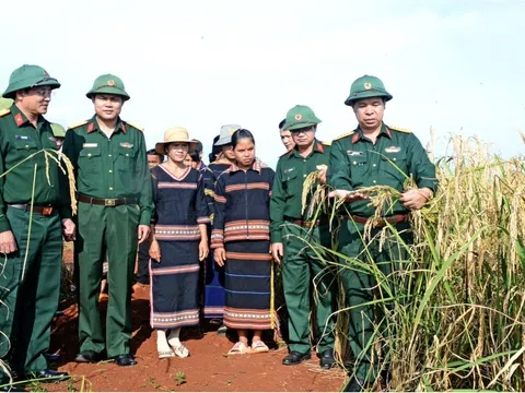Đoàn KTQP 715 - Binh đoàn 15: Tiếp sức cho bà con vùng biên giới phát triển