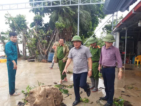 Phường Thiên Hương (TP Hải Phòng): Chủ động, kịp thời hỗ trợ người dân sau bão số 3 (Wipha)