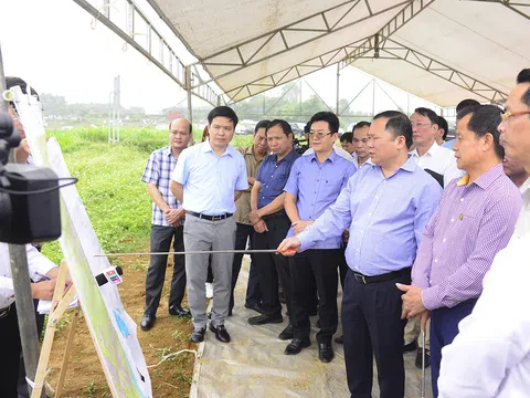 Hoà Bình: Bí thư Tỉnh ủy Nguyễn Phi Long kiểm tra Khu công nghiệp Nhuận Trạch và Khu công nghiệp Nam Lương Sơn