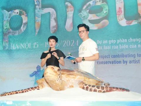 Trưng bày 1001 rùa biển bằng gốm được nặn hoàn toàn bằng tay