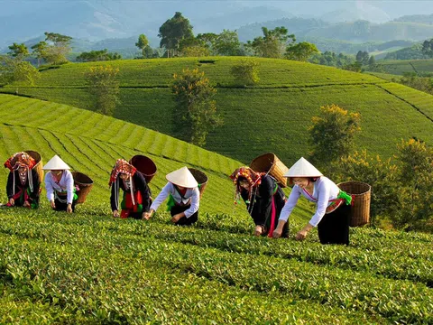 Phú Thọ hướng tới nông thôn mới hiện đại, bền vững và giàu bản sắc