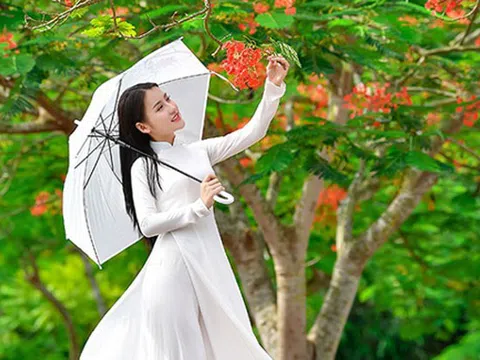 Giới thiệu chùm thơ của tác giả Quang Nguyễn