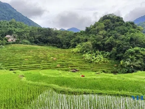 Bản Bút (Xã Nam Xuân, huyện Quan Hóa, tỉnh Thanh Hóa): Điểm du lịch cộng đồng hấp dẫn