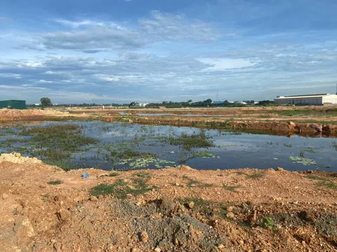 Vĩnh Phúc: Vĩnh Tường sẽ giải phóng mặt bằng phần diện tích còn lại ở xã Lũng Hòa để thực hiện dự án Khu chợ đầu mối nông sản thực phẩm