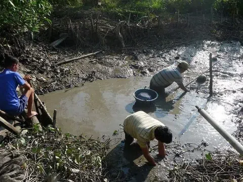 Tát đìa bắt cá - Niềm vui thôn dã