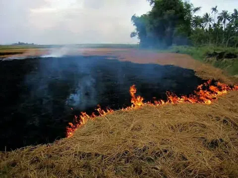 Mùi khói đốt đồng