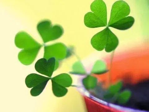 Hãy thương cơ thể mình nghe