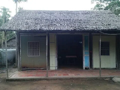 Mùa gió chướng năm nay...