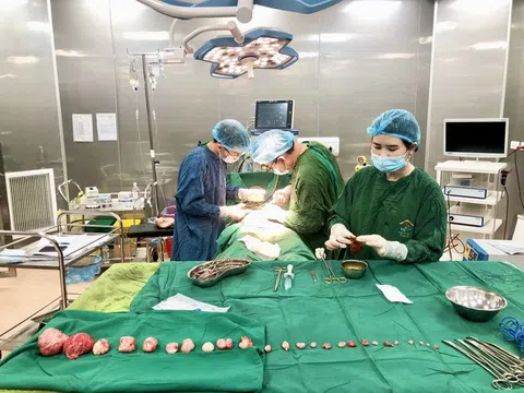 Tuyên Quang: Phẫu thuật bóc số lượng lớn u xơ, bảo tồn tử cung cho bệnh nhân