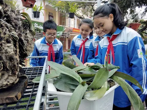 Lào Cai: Nhiều trường chuyển sang học trực tuyến do xuất hiện các ca mắc CoVid 19