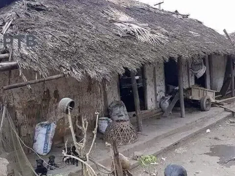 Tình yêu người lính