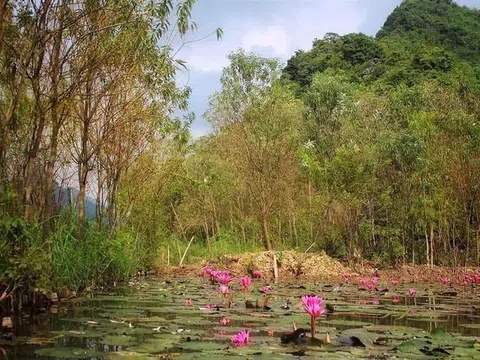 Chiến tranh đã hết thật