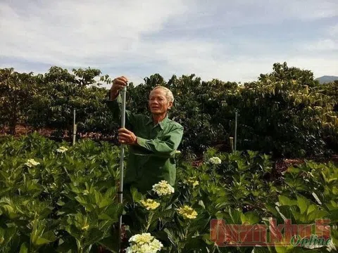 Kết nạp Đảng ở Trường Sa