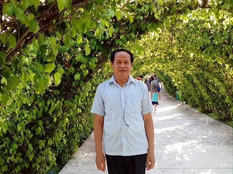 Cây sắn