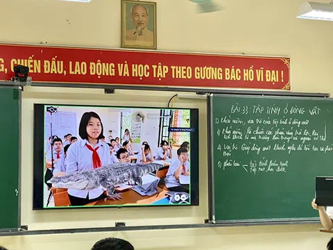 THCS Lê Hồng Phong (TP Lào Cai) ứng dụng phần mềm thực tế ảo vào dạy học  
