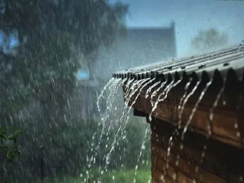 Đến với bài thơ hay “Mưa cố đô ướt mềm nỗi nhớ”