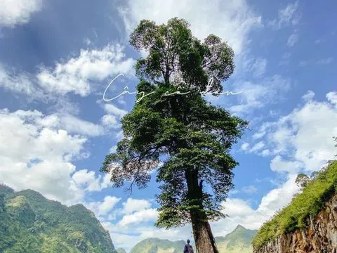 Chuỗi  thời gian