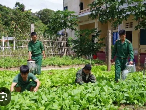 Lính doanh trại trồng rau