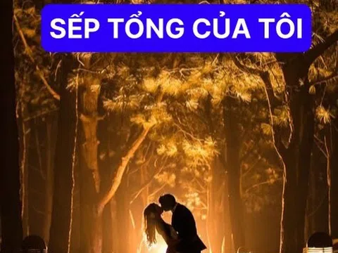 Sếp Tổng của tôi