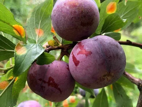 Về với yêu thương