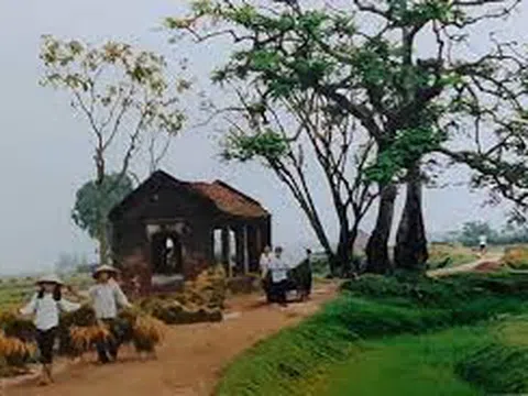 Chuyện nhà lão Dần làng Vũ Đại