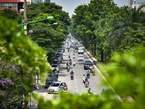 Cây xanh đô thị  ở Việt Nam đang cần nguồn nhân lực chất lượng cao
