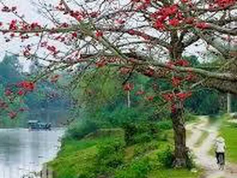 Chùm thơ của Minh Vũ