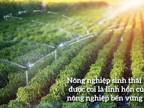 Phát triển “nông nghiệp sinh thái, nông thôn hiện đại, nông dân văn minh” – Từ định hướng Đại hội XIV của Đảng đến động lực tăng trưởng bền vững