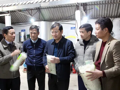 Bắc Giang: Đánh giá cao hiệu quả sản xuất kinh doanh của 2 Hợp tác xã  huyện Tân Yên