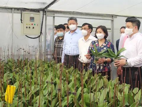 Hà Nội: Huyện Thanh Oai xây dựng nông thôn mới nâng cao cần tiệm cận với các tiêu chí đô thị