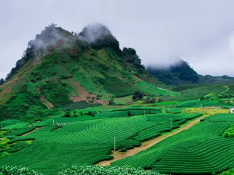 4 địa điểm du lịch hè đáng tham quan nhất tại Việt Nam