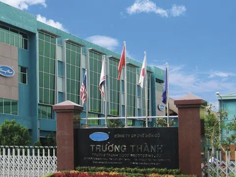 Hợp tác giữa Intel, Advantech và Ecozen cùng kỳ vọng số hoá quy trình giám sát năng lượng tại nhà máy gỗ Trường Thành