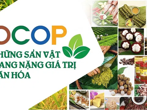 Hà Nội tiếp tục phát triển bền vững các sản phẩm OCOP gắn với văn hoá vùng miền