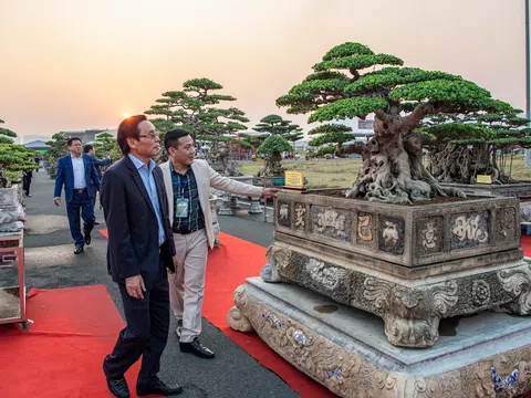 Mãn nhãn hàng ngàn tác phẩm Sinh Vật Cảnh tại Festival Sản phẩm Nông nghiệp và Làng nghề Hà Nội lần thứ hai năm 2022