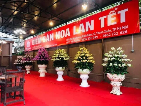 Hoa Lan Đỗ Nghĩa mang sắc Xuân đến với mọi nhà