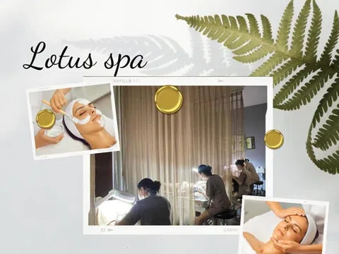 CEO Lê Thị Thuỳ Trang và hành trình cùng thương hiệu Lotus Spa thực hiện sứ mệnh kiến tạo sắc đẹp Việt