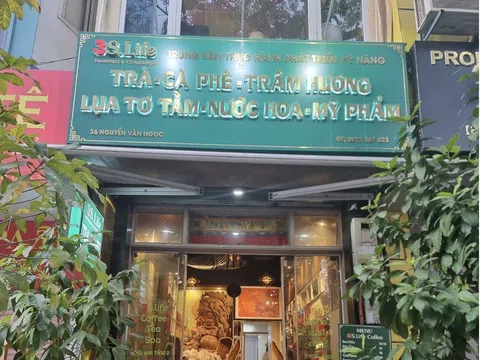 Viện Phát triển nhân lực thời đại mới: Từ Tâm vươn Tầm