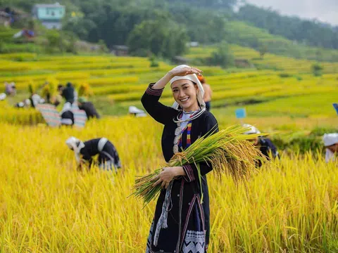 Hồng Thái - Sắc vàng ruộng bậc thang và du lịch cộng đồng hấp dẫn tại Tuyên Quang