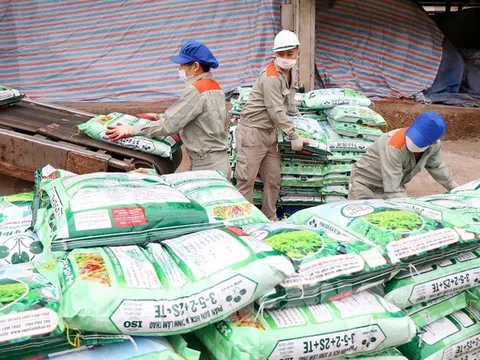 Mùa xuân Supe Lâm Thao: Sự vươn lên không ngừng trong nông nghiệp xanh