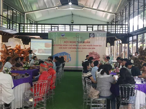 Thổi hồn vào những nguyên liệu quý giá từ gỗ lũa, để tạo nên các tác phẩm đặc sắc