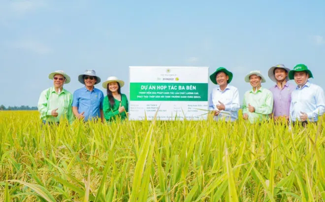 Góc nhìn văn hoá: “Canh nông vi bản” trong thời đại mới - Từ nền tảng truyền thống đến động lực phát triển bền vững