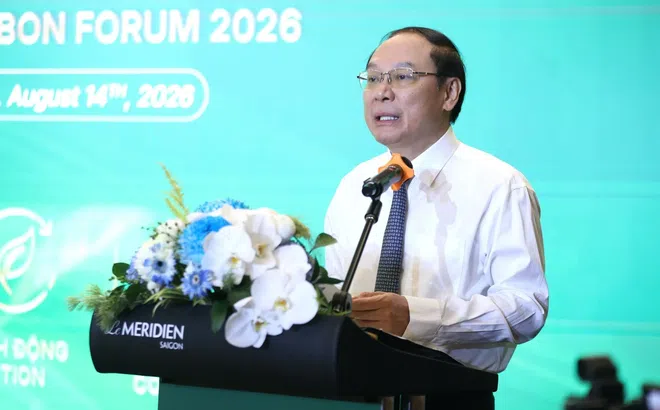 Góc nhìn văn hoá: Thị trường carbon Việt Nam – “Từ chính sách đến hành động”